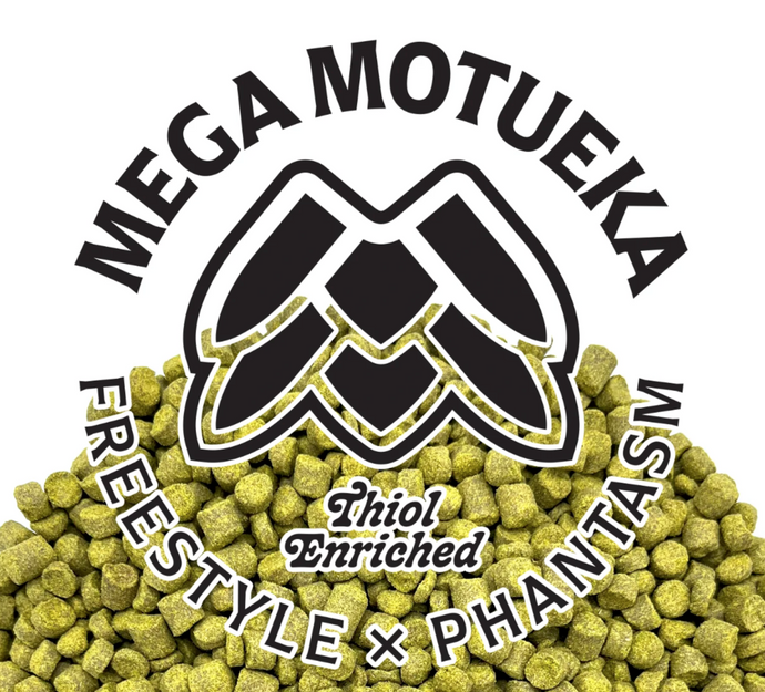 Mega Motueka 2024