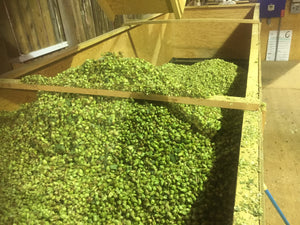 Box full of super fresh Crystal Hops from Duke25 